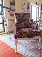 Bergère Louis XV - Rose Pattern- White Finished - Image 2