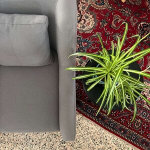 Lounge Armchair - One Seater - Fully Upholstered - Grey Color