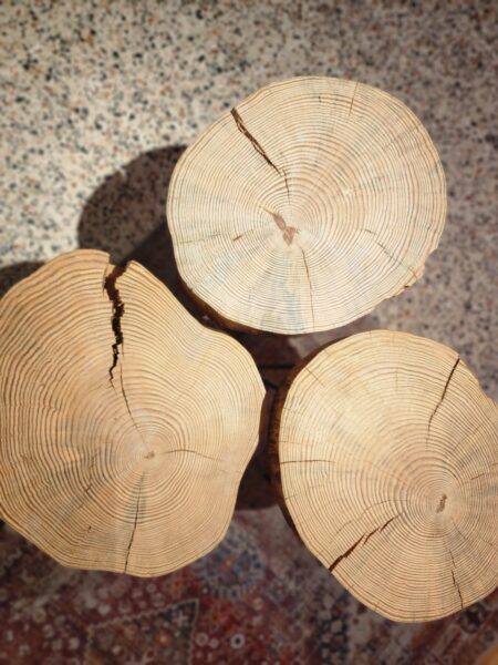 Natural-Wood-Table
