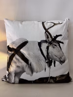 Decorative Cushions & Throw Pillows - Image 8