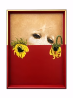 Set of three modern classic portrait paintings featuring bold red, green, and blue color-blocked bases in elegant frames from RockFort Lebanon.